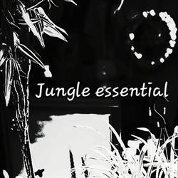 Jungle Style