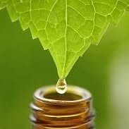 Naturopathe Catherine Callewaert