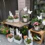 compositions florales par la fleuriste Ô coeur du temps à Offagne près de Paliseul