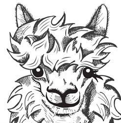 Alpaca Atelier