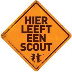 Scouts Berlaar