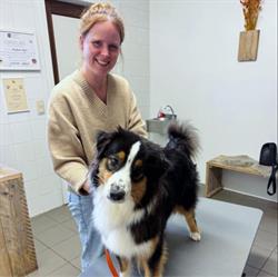 De Osteo Hoeve - Osteopathie voor paard & hond