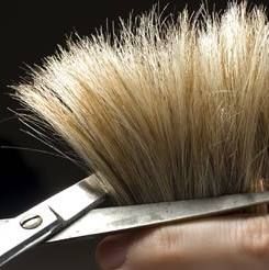 E-clipz kapsalon
