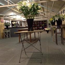 florist Bloemen Vandenbroecke