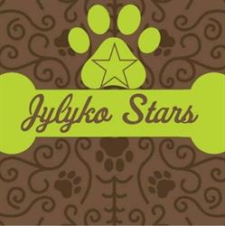 Trimsalon Jylyko Stars