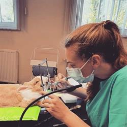 Dierenartspraktijk De Ruyck