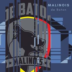 Malinois de Baton