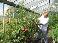 Il Giardino (gesloten)