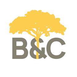 B&C IMMO