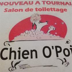 Chien O Poil