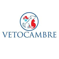 Vetocambre