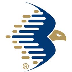 All Survey Services