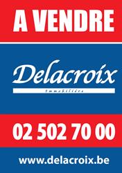Immobiliere Delacroix