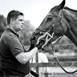 True Blue Physiological Horse Dentistry - PHD