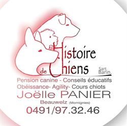 Histoire de Chiens Sart Barin