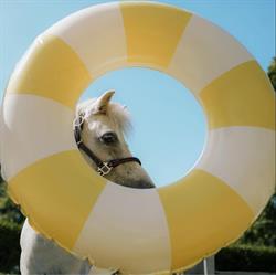 CURAFYT - Natuurlijke voedingssupplementen paard & hond