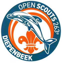Scouts Diepenbeek