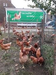 Les cocottes en ribote