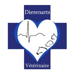Dierenarts De Clercq Dominique (paard internist specialist - kleine huisdieren algemeen)
