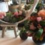 Botanic Gifts