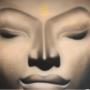 Buddha Yogastudio