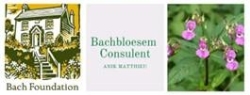 Bachbloesemsconsulent Anik