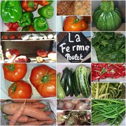 La Ferme Poulet