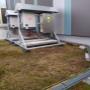 # 7