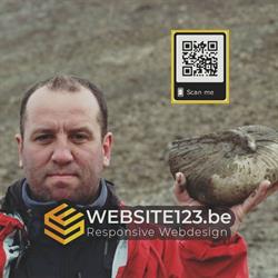 Website123