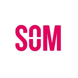 Som De Federatie Van Sociale Ondernemingen