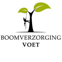 Boomverzorging Voet