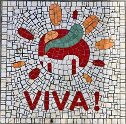Viva residentie