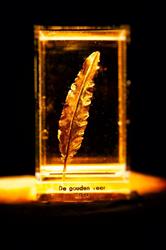 De Gouden Veer