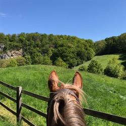 Haras Saint-Roch