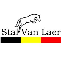 Stal Van Laer