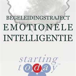 Emotionele Intelligentie Instituut