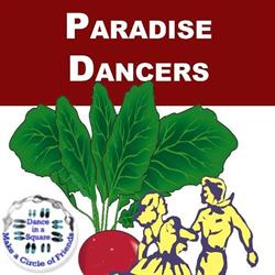 ParadiseDancers Antwerpen