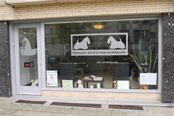 Hondenkapsalon Caniche