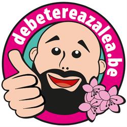 Debetereazalea