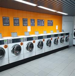 Wash 13