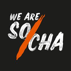 Socha
