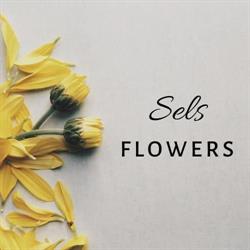 sels flowers