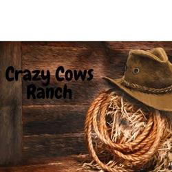 Crazy Cows Ranch