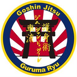 Ju-Jitsu club Kuzushi Aartselaar