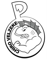 Chiro Velzeke Jongens