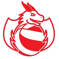 Volleybalclub Dakwerken De Vos Denderhoutem