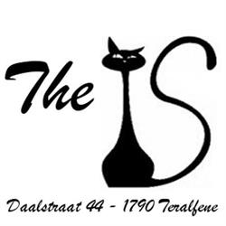 The Cats