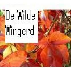 De Wilde Wingerd