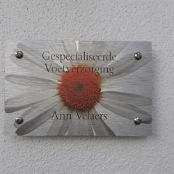 Gespecialiseerd voetverzorger Ann Velaers