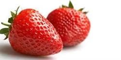 Aardbeienbedrijf Schaubroeck